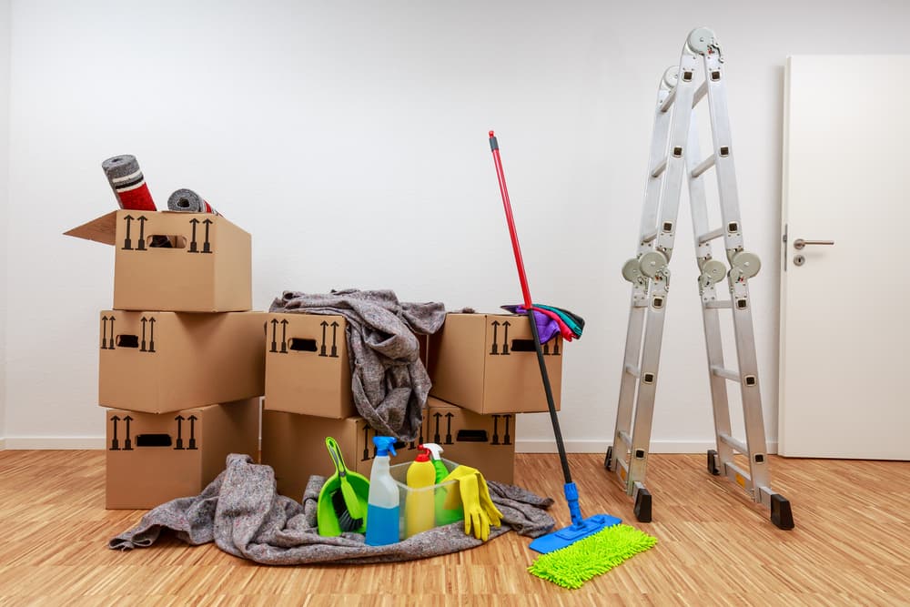 Move-In/Out Cleaning